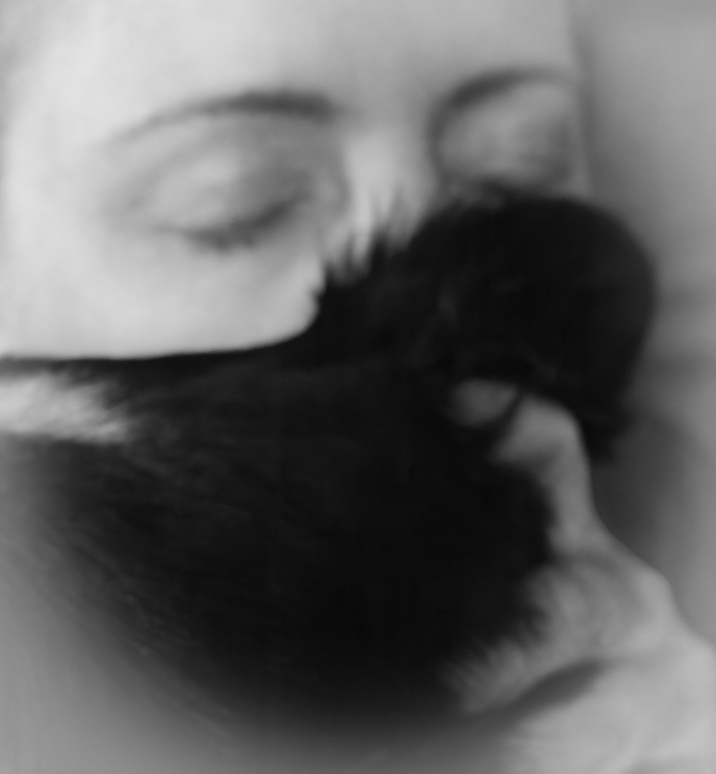 K&uuml;nstlerische Schwarz-Wei&szlig;-Doppelbelichtung einer Frau mit Katze